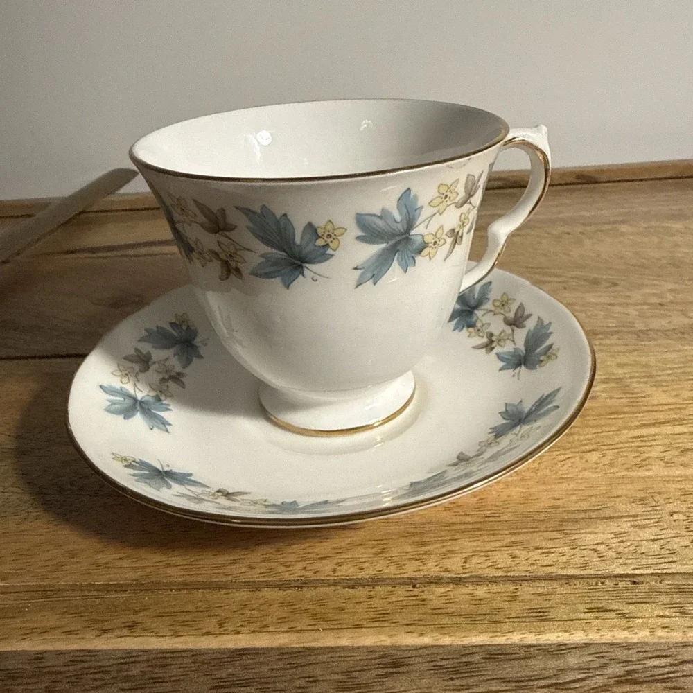 Vintage Royal Kent Tea Cup And Saucer